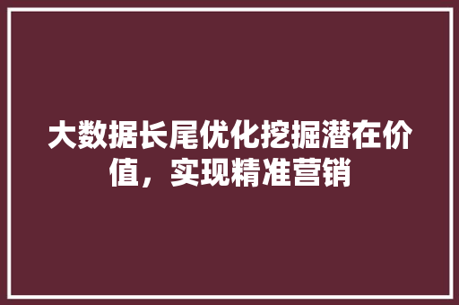 大数据长尾优化挖掘潜在价值，实现精准营销