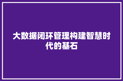 大数据闭环管理构建智慧时代的基石