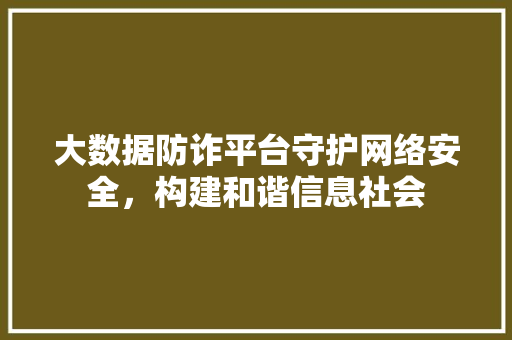 大数据防诈平台守护网络安全，构建和谐信息社会 编程语言