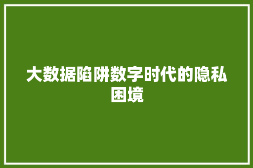 大数据陷阱数字时代的隐私困境 大数据陷阱数字时代的隐私困境