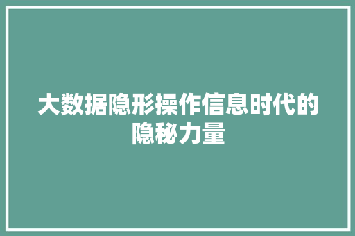 大数据隐形操作信息时代的隐秘力量 大数据隐形操作信息时代的隐秘力量