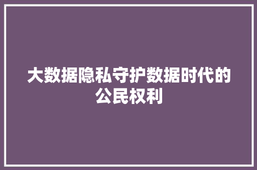 大数据隐私守护数据时代的公民权利 大数据隐私守护数据时代的公民权利