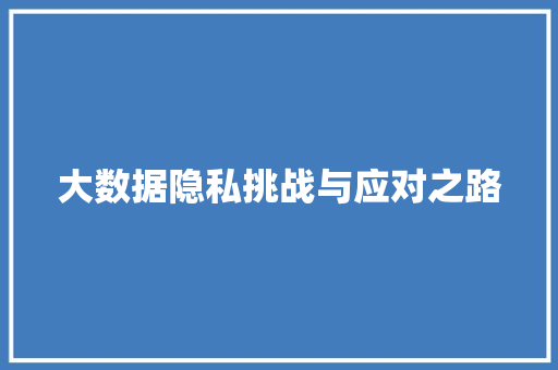 大数据隐私挑战与应对之路 大数据隐私挑战与应对之路