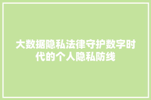 大数据隐私法律守护数字时代的个人隐私防线 大数据隐私法律守护数字时代的个人隐私防线