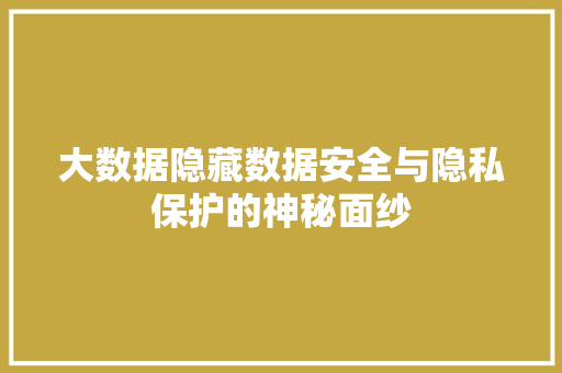 大数据隐藏数据安全与隐私保护的神秘面纱 电脑配置