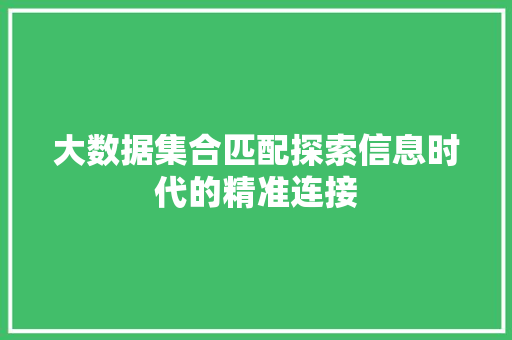 大数据集合匹配探索信息时代的精准连接