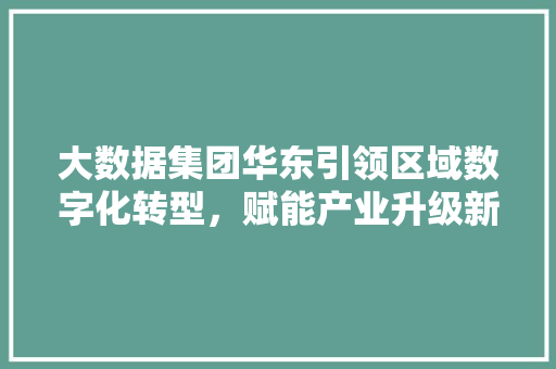 大数据集团华东引领区域数字化转型，赋能产业升级新篇章 电脑配置