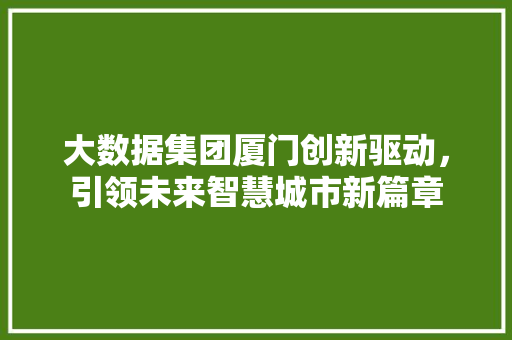 大数据集团厦门创新驱动，引领未来智慧城市新篇章