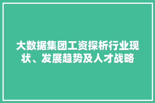 大数据集团工资探析行业现状、发展趋势及人才战略