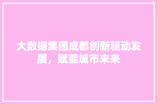 大数据集团成都创新驱动发展，赋能城市未来