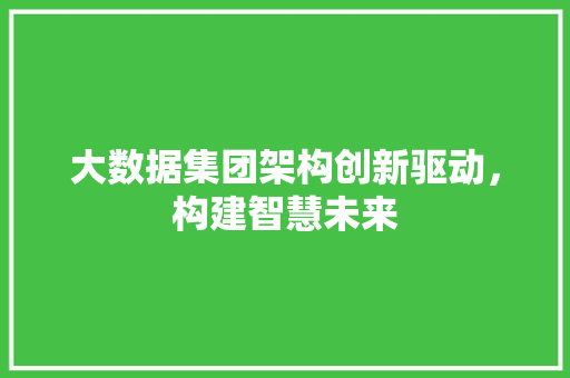 大数据集团架构创新驱动，构建智慧未来