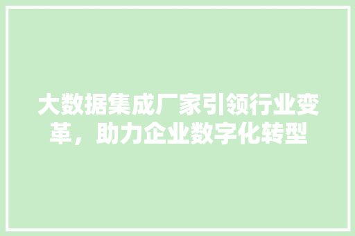 大数据集成厂家引领行业变革，助力企业数字化转型