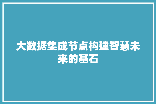 大数据集成节点构建智慧未来的基石
