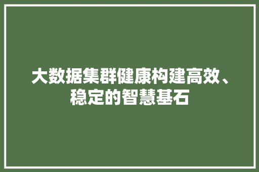 大数据集群健康构建高效、稳定的智慧基石 大数据集群健康构建高效、稳定的智慧基石