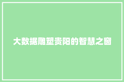大数据雕塑贵阳的智慧之窗