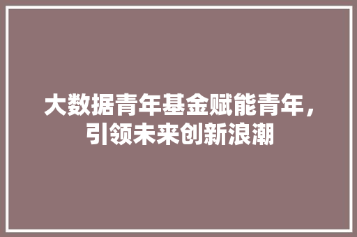 大数据青年基金赋能青年，引领未来创新浪潮