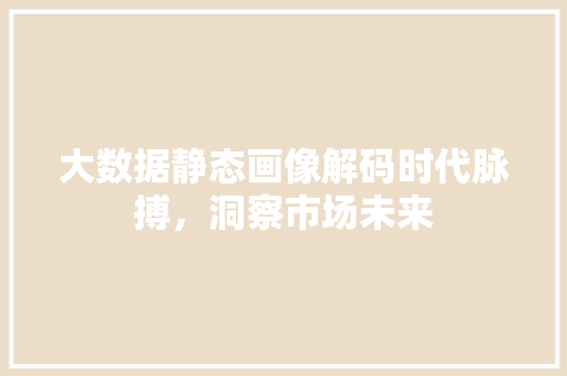 大数据静态画像解码时代脉搏，洞察市场未来