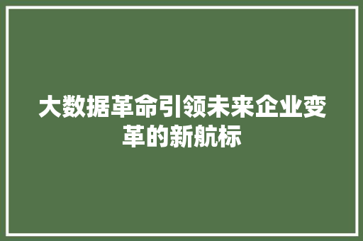 大数据革命引领未来企业变革的新航标