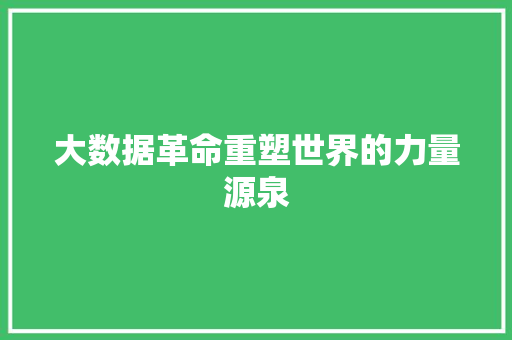 大数据革命重塑世界的力量源泉