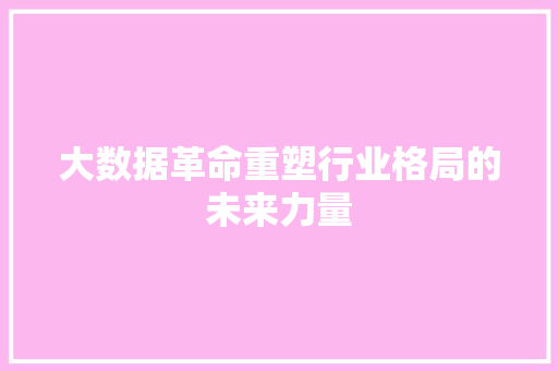 大数据革命重塑行业格局的未来力量