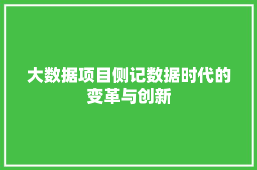 大数据项目侧记数据时代的变革与创新