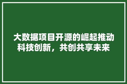 大数据项目开源的崛起推动科技创新，共创共享未来
