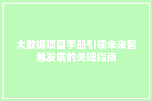 大数据项目手册引领未来智慧发展的关键指南 电脑故障维修