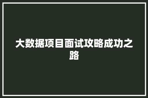 大数据项目面试攻略成功之路 网络技术