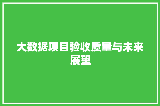 大数据项目验收质量与未来展望 网络技术