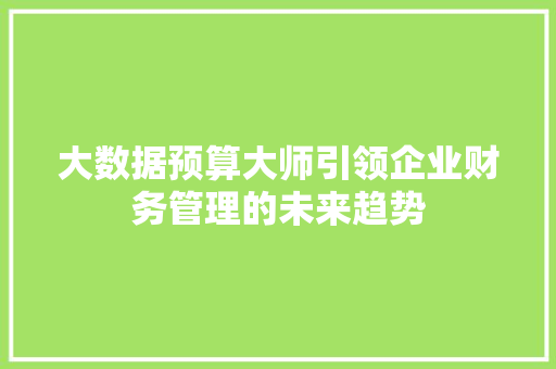 大数据预算大师引领企业财务管理的未来趋势