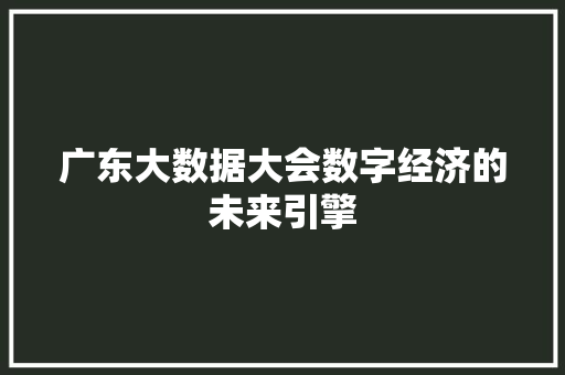 广东大数据大会数字经济的未来引擎