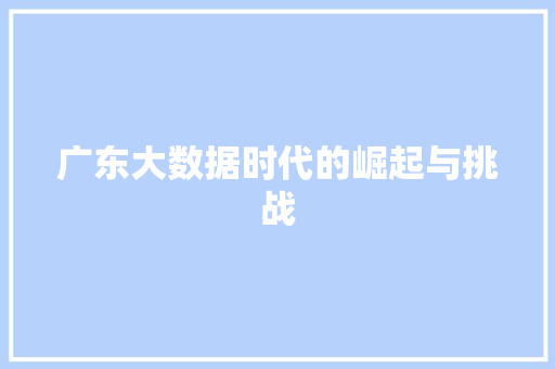 广东大数据时代的崛起与挑战