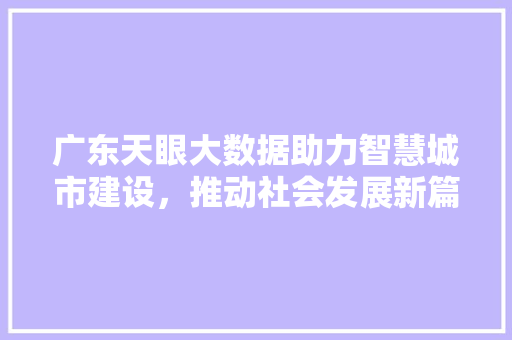 广东天眼大数据助力智慧城市建设，推动社会发展新篇章