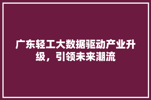 广东轻工大数据驱动产业升级，引领未来潮流