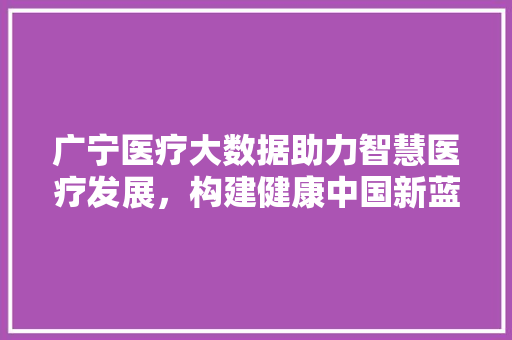广宁医疗大数据助力智慧医疗发展，构建健康中国新蓝图