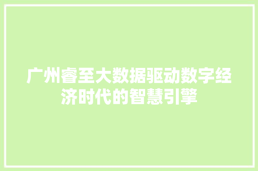 广州睿至大数据驱动数字经济时代的智慧引擎
