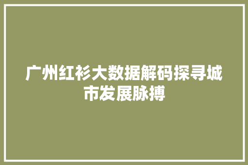 广州红衫大数据解码探寻城市发展脉搏
