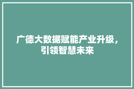 广德大数据赋能产业升级，引领智慧未来