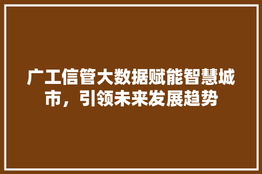 广工信管大数据赋能智慧城市，引领未来发展趋势