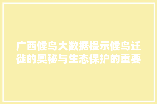 广西候鸟大数据提示候鸟迁徙的奥秘与生态保护的重要性
