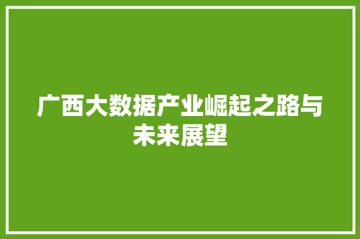 广西大数据产业崛起之路与未来展望