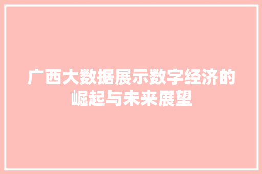 广西大数据展示数字经济的崛起与未来展望