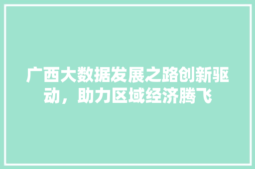 广西大数据发展之路创新驱动，助力区域经济腾飞