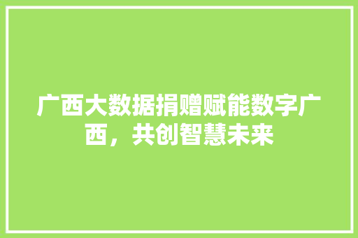 广西大数据捐赠赋能数字广西,共创智慧未来 广西大数据捐赠赋能数字广西,共创智慧未来