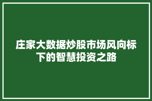 庄家大数据炒股市场风向标下的智慧投资之路