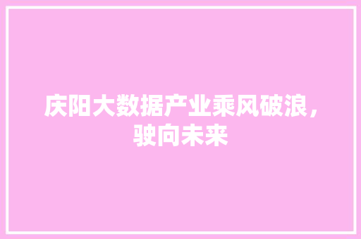 庆阳大数据产业乘风破浪，驶向未来