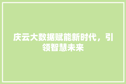 庆云大数据赋能新时代，引领智慧未来