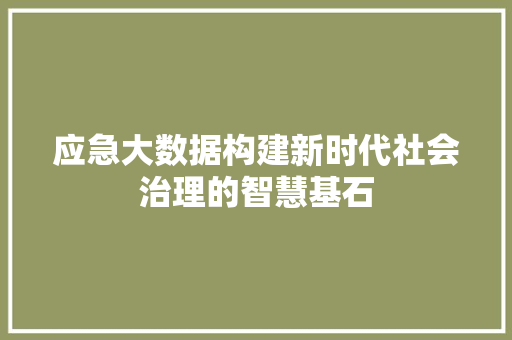 应急大数据构建新时代社会治理的智慧基石