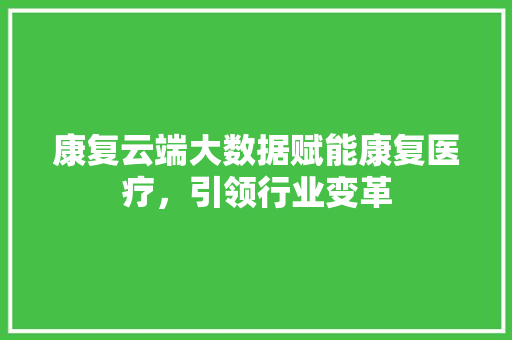 康复云端大数据赋能康复医疗,引领行业变革 康复云端大数据赋能康复医疗,引领行业变革