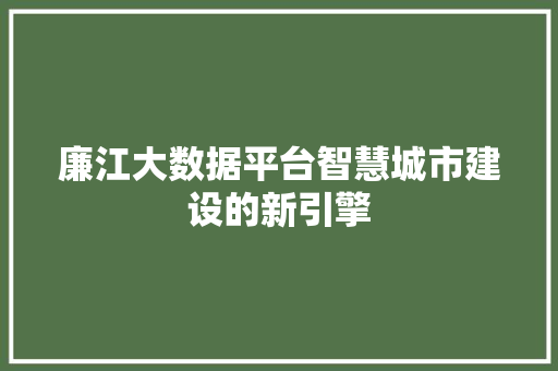 廉江大数据平台智慧城市建设的新引擎 廉江大数据平台智慧城市建设的新引擎